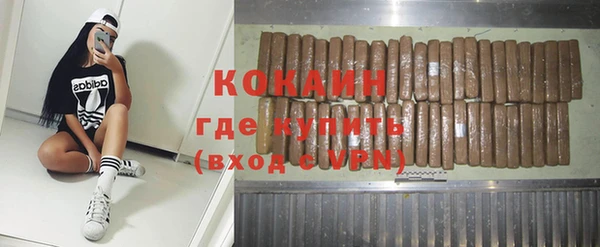 хмурый Алексин