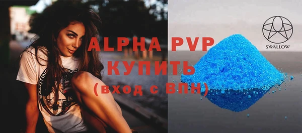 хмурый Абаза
