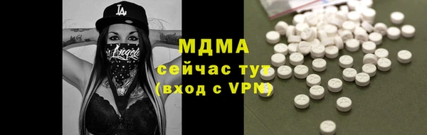 хмурый Алексин