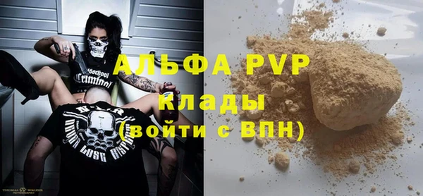 хмурый Абаза
