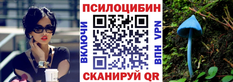где найти наркотики  Тихвин  Галлюциногенные грибы Psilocybine cubensis 